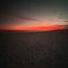 lilyhenderso114